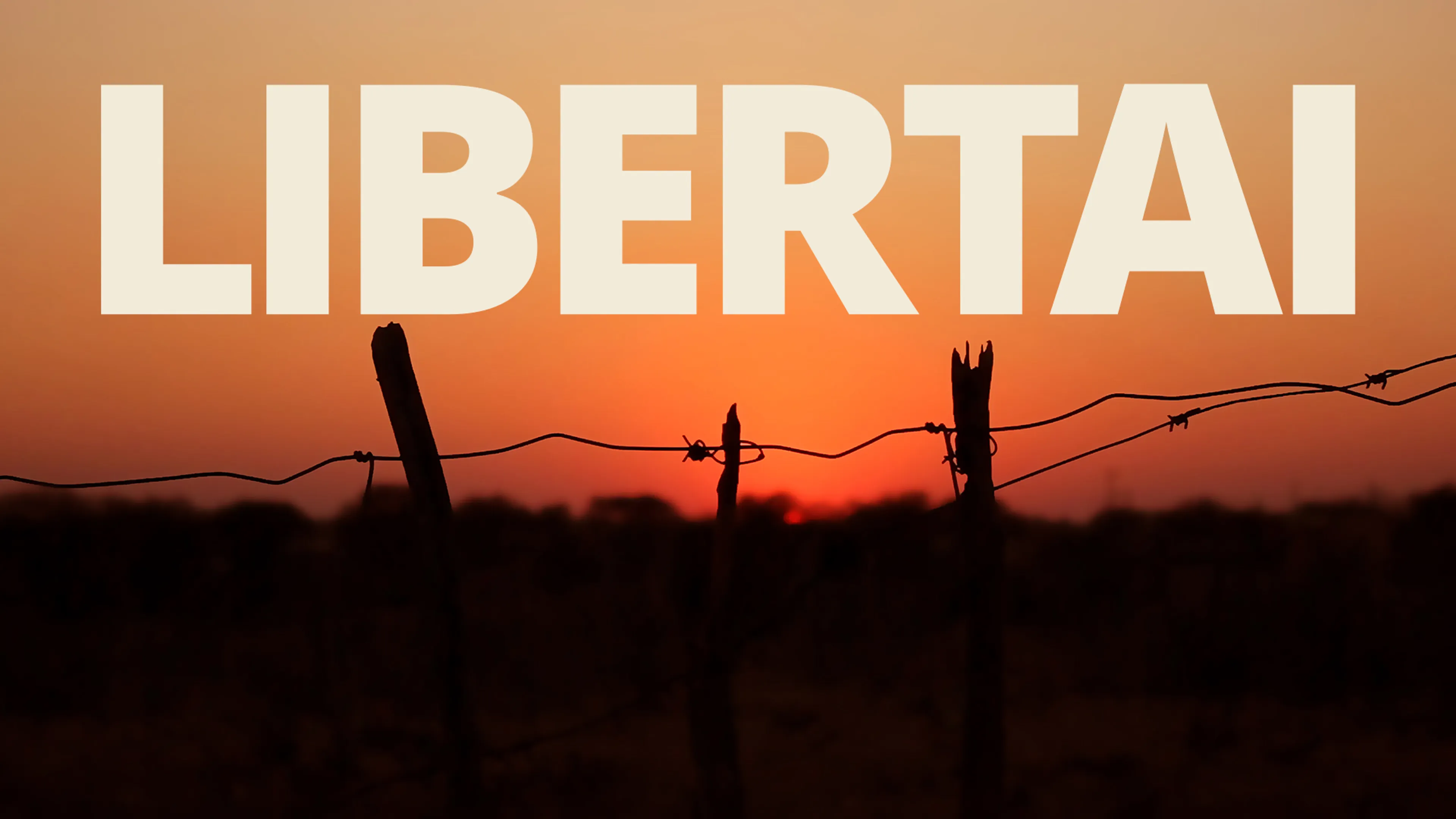 Libertai poster